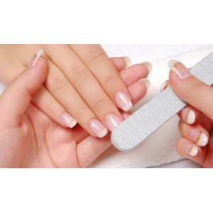 Pack Completo Bases de Tratamiento